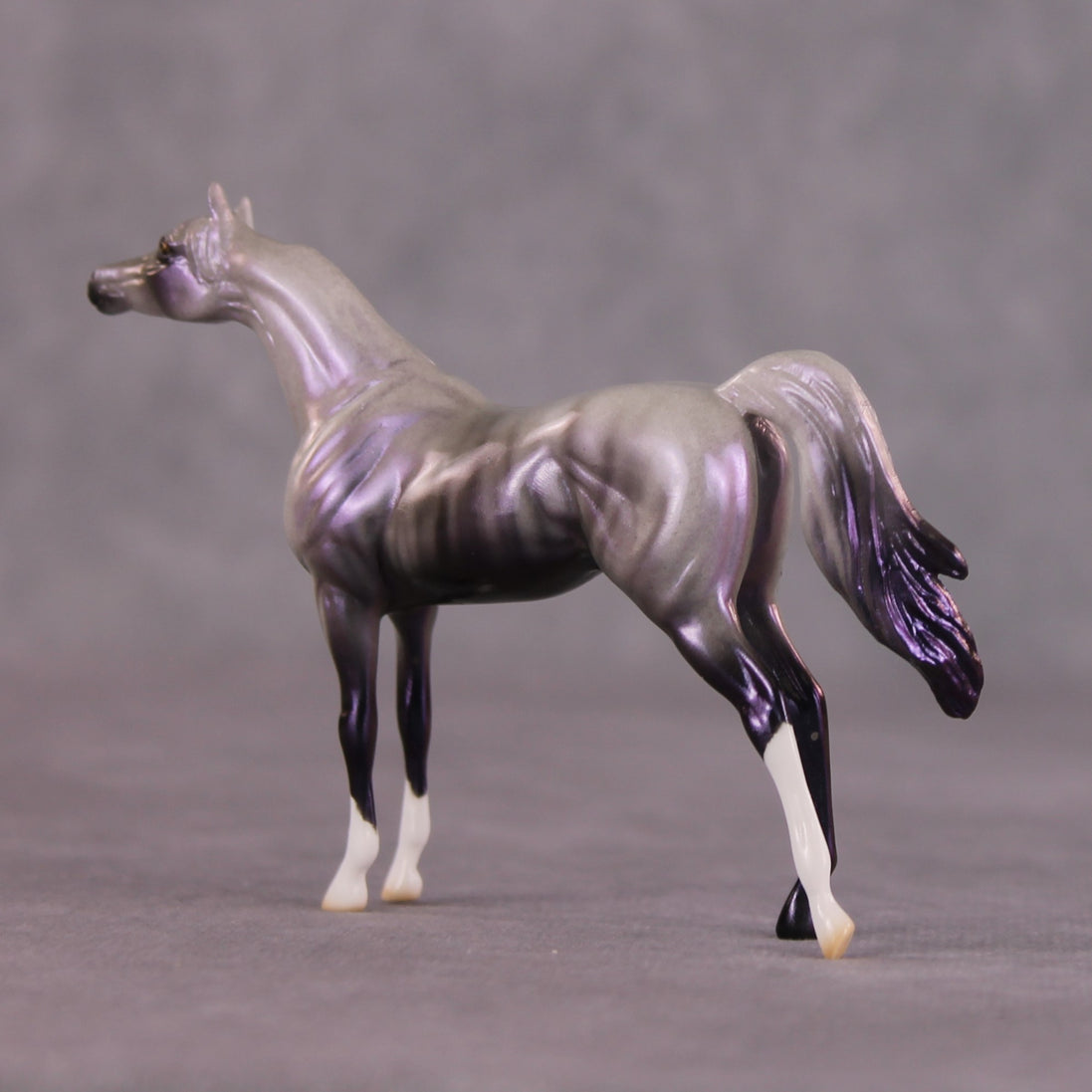 "Million" OOAK Arabian Chip By Ellen Robbins SHCF25