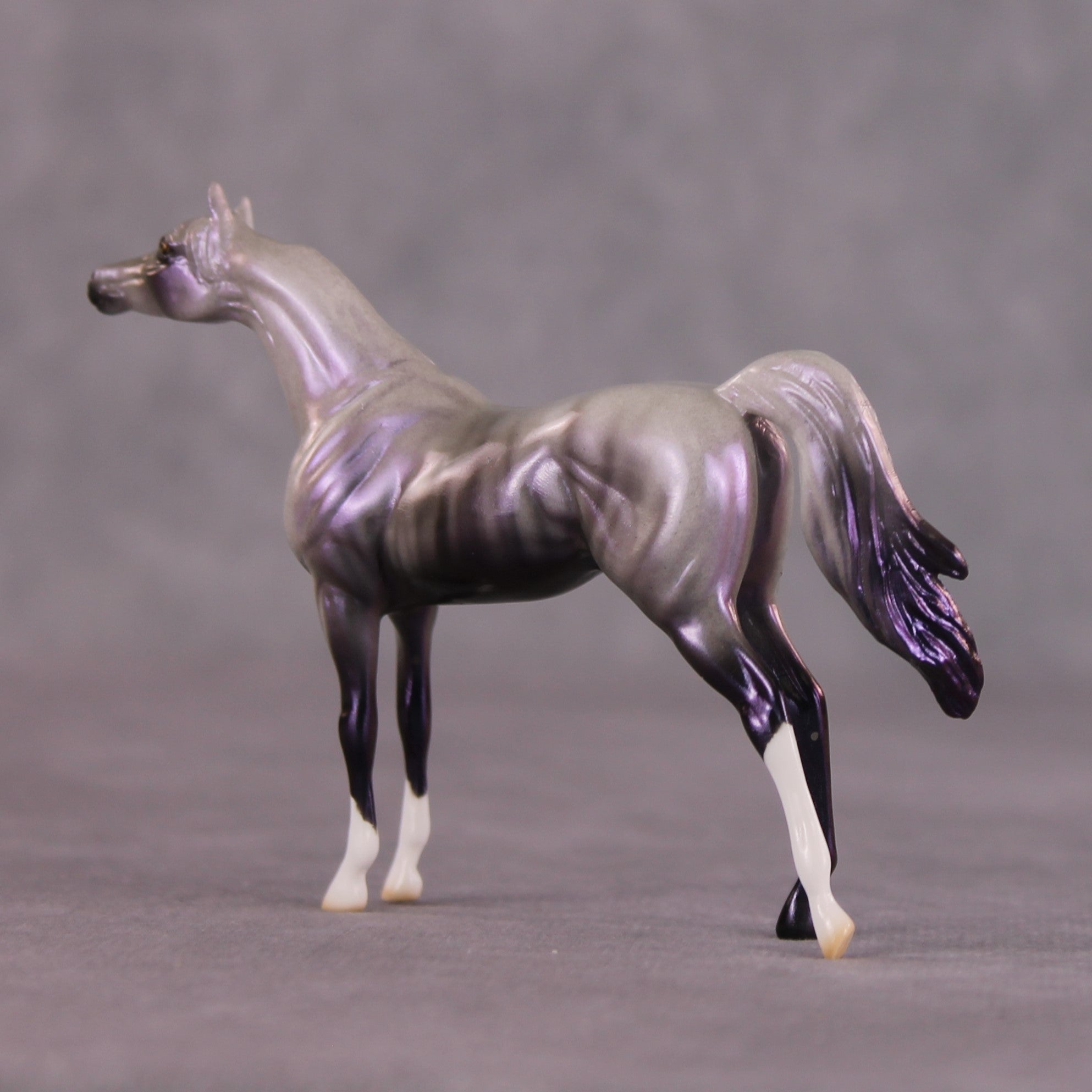 "Million" OOAK Arabian Chip By Ellen Robbins SHCF25