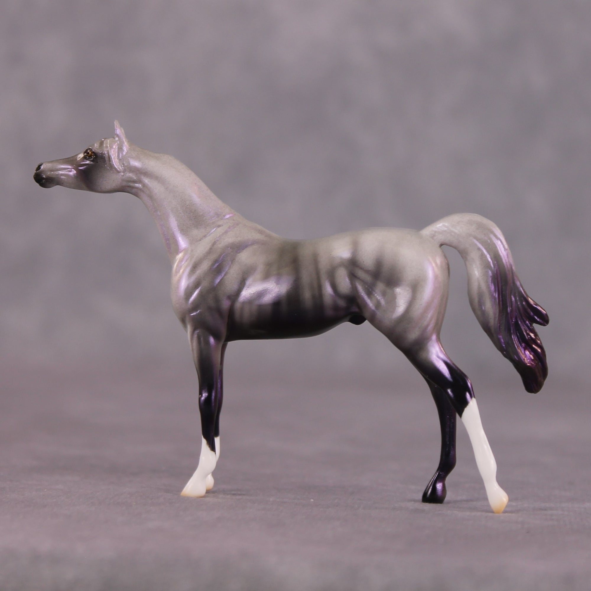 "Million" OOAK Arabian Chip By Ellen Robbins SHCF25