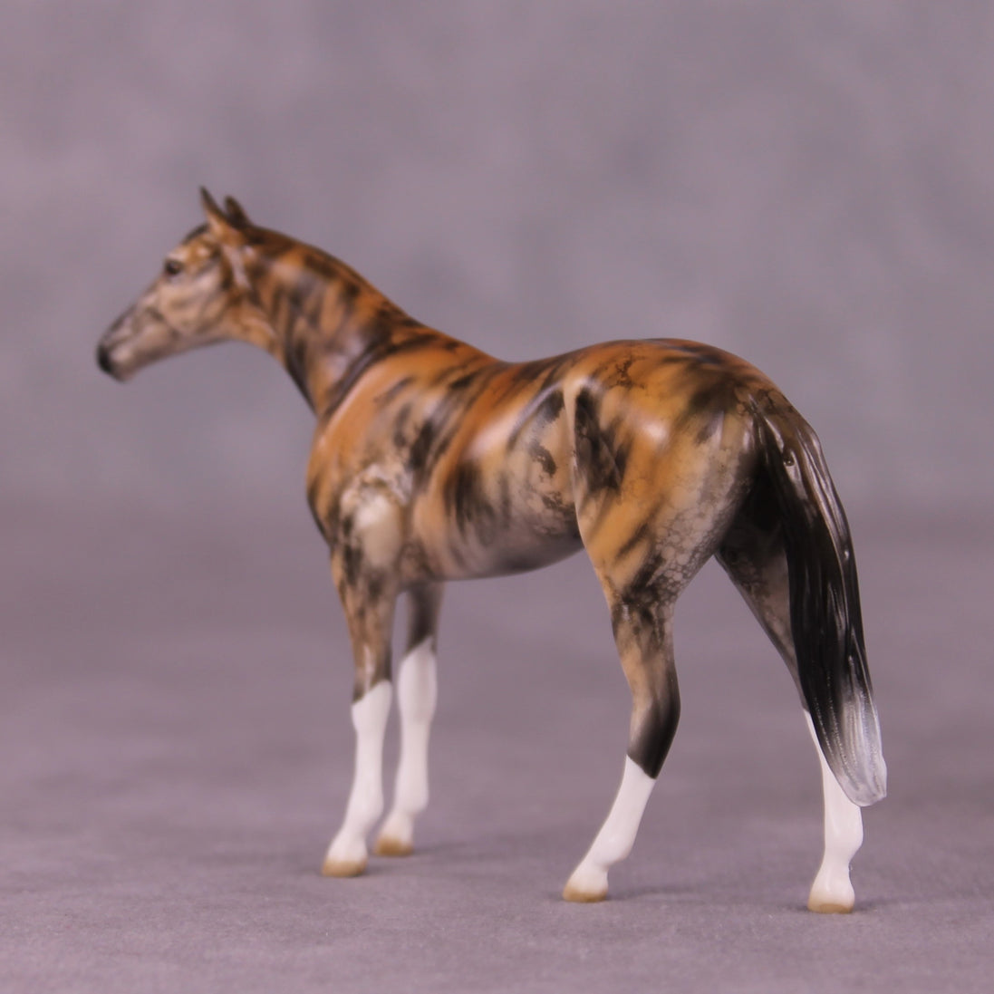 "Akuna" OOAK Thoroughbred Chip by Jess Hamill MS25