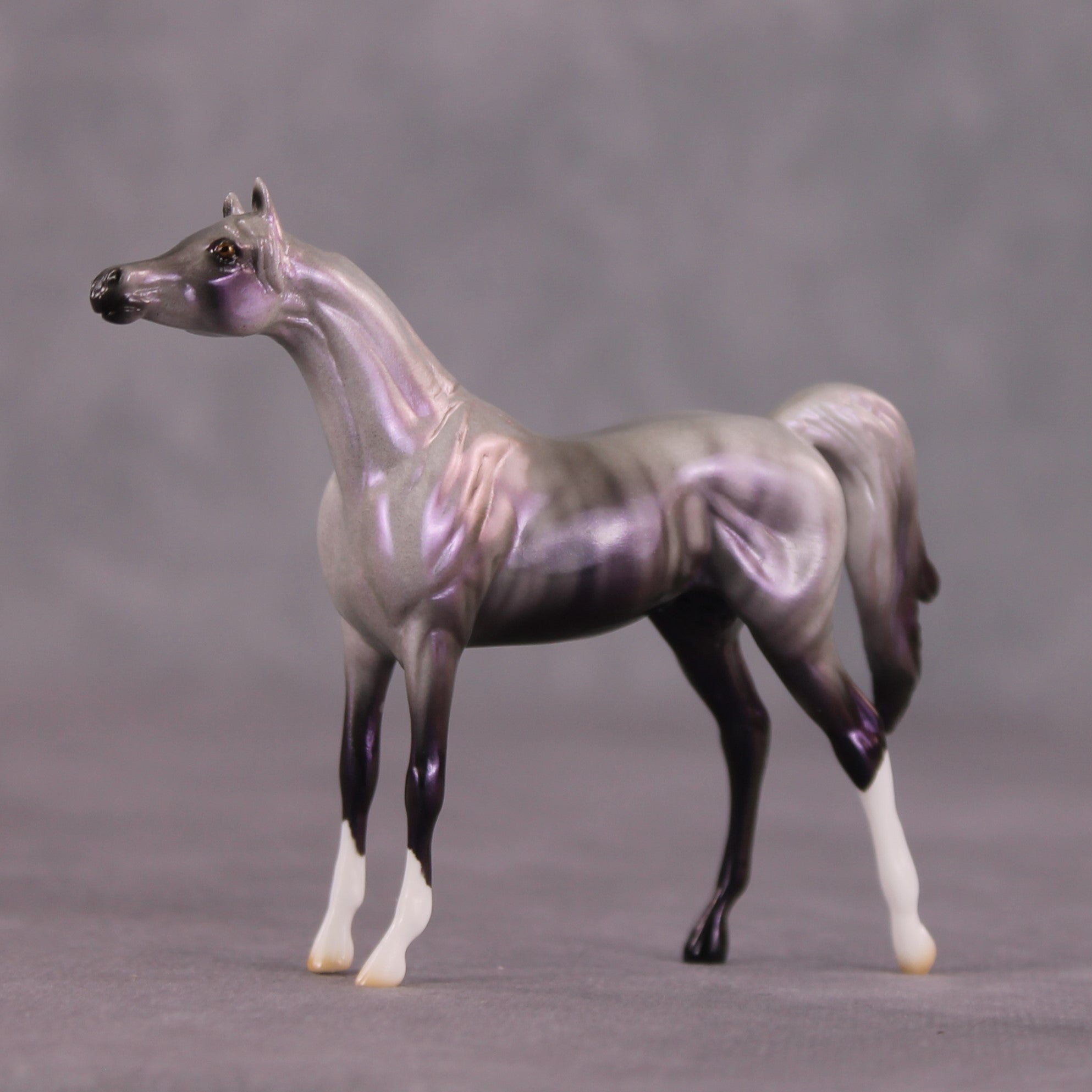 "Million" OOAK Arabian Chip By Ellen Robbins SHCF25