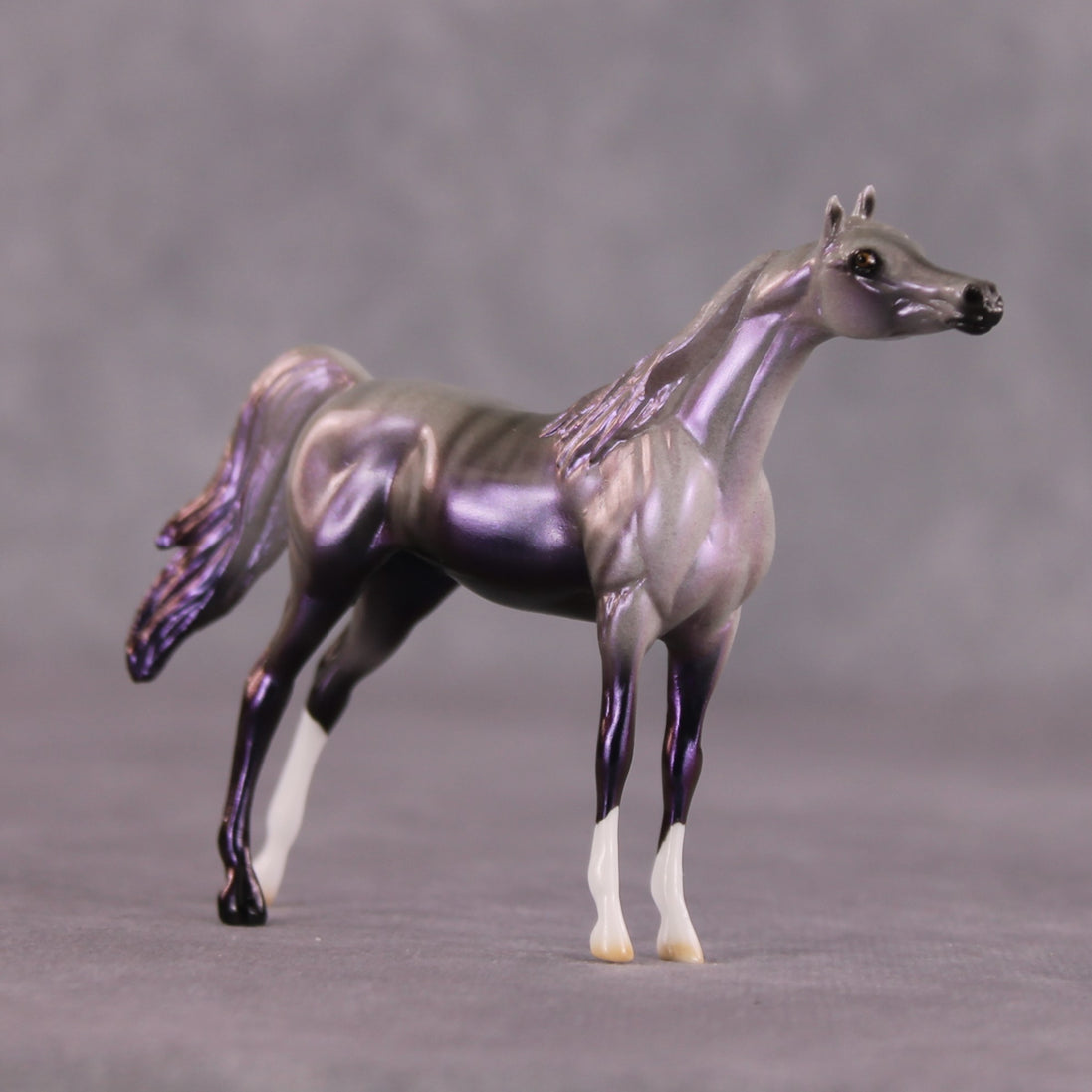 "Million" OOAK Arabian Chip By Ellen Robbins SHCF25