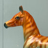 Akzidenz OOAK Deco Zebra Arab Foal By Jess Hamill EQ24