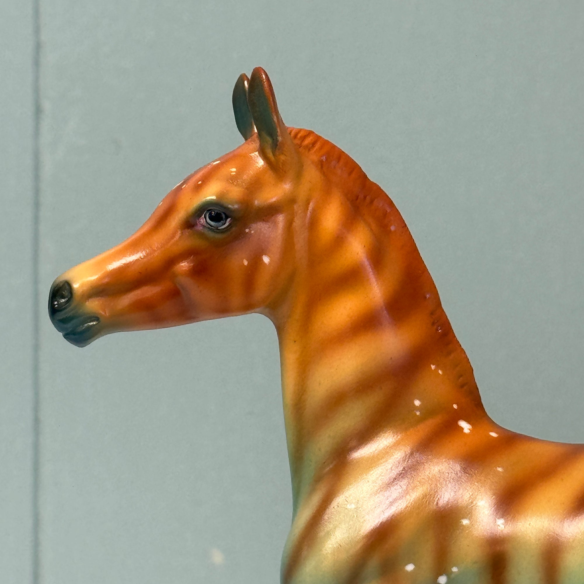 Akzidenz OOAK Deco Zebra Arab Foal By Jess Hamill EQ24