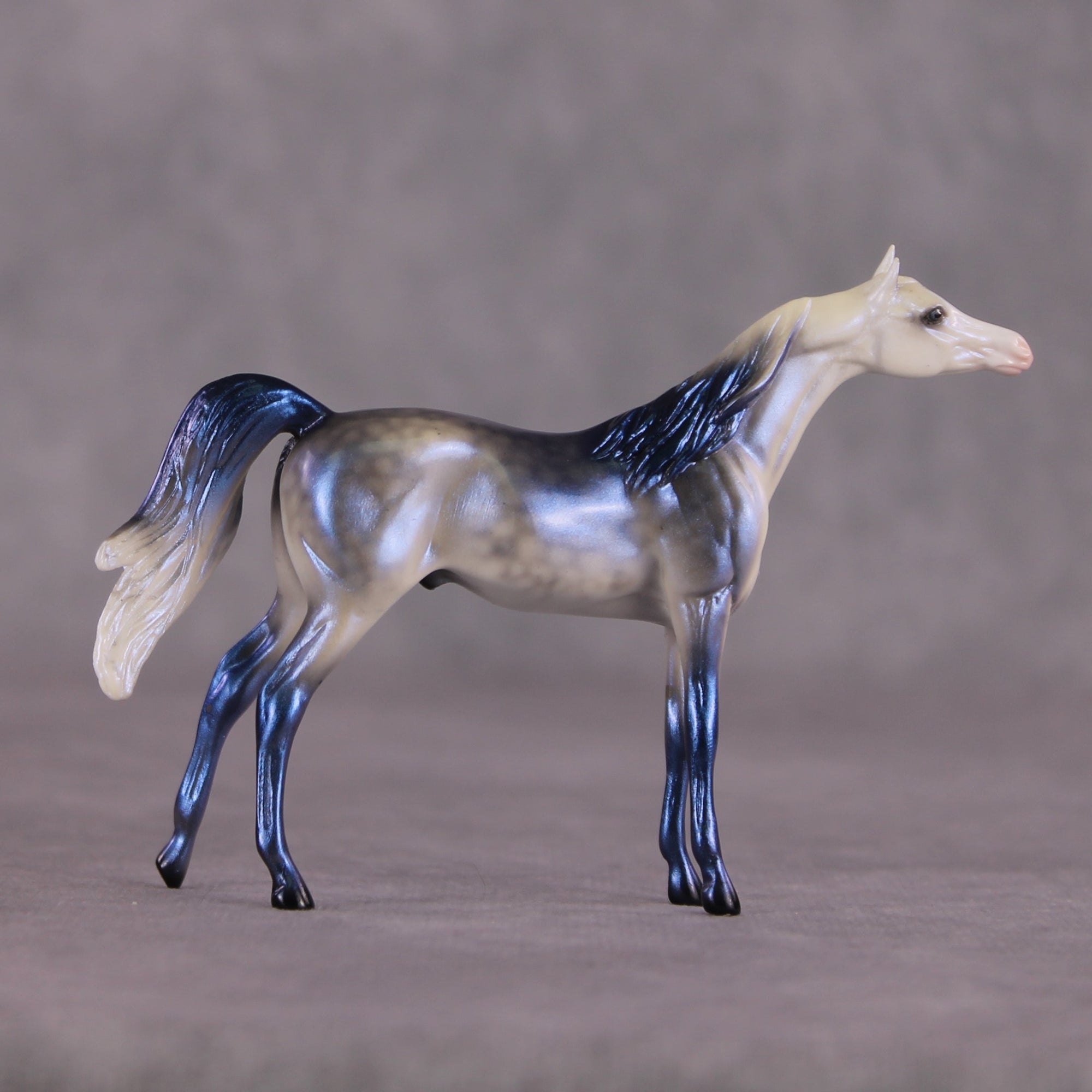 "Forecast" OOAK Arabian Chip by Ellen Robbins SHCF25