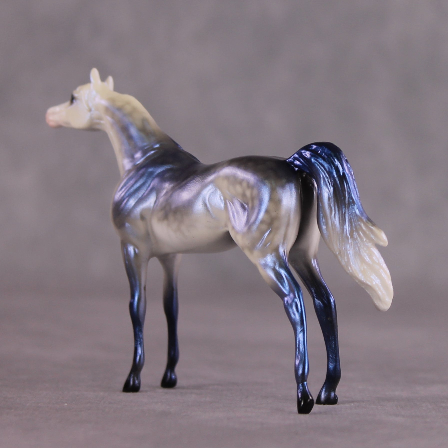 "Forecast" OOAK Arabian Chip by Ellen Robbins SHCF25