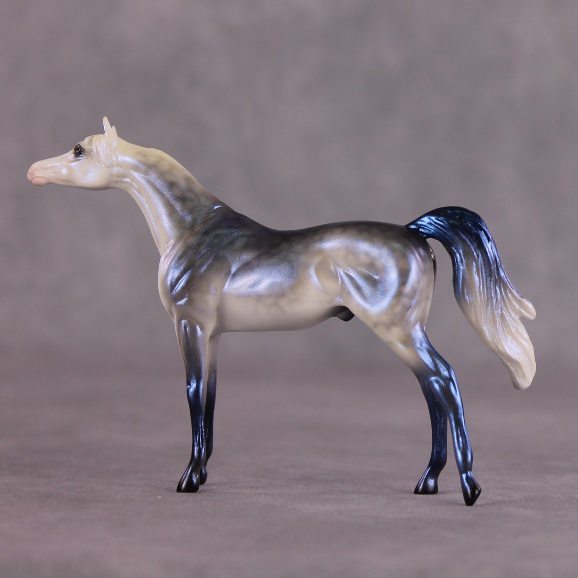 "Forecast" OOAK Arabian Chip by Ellen Robbins SHCF25