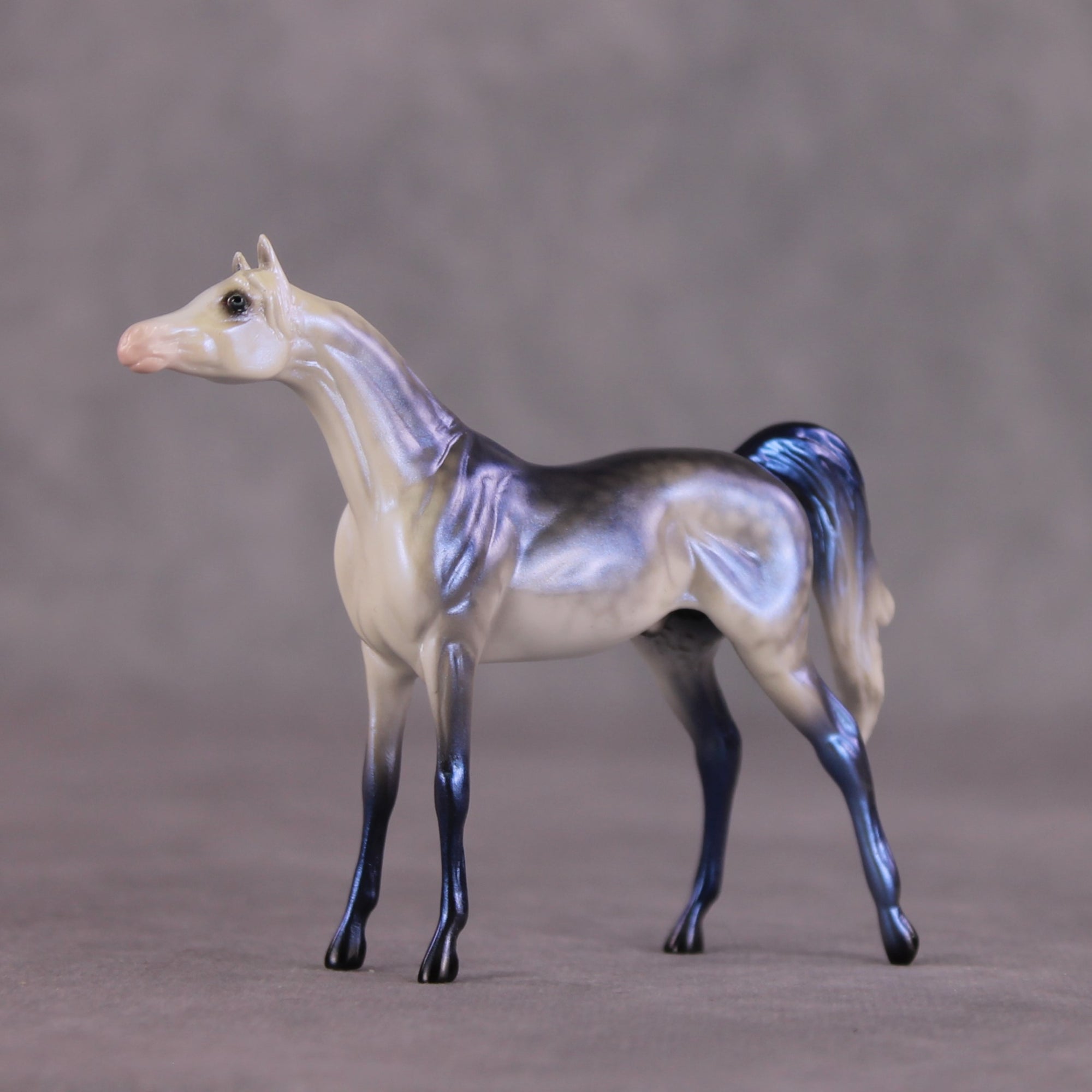"Forecast" OOAK Arabian Chip by Ellen Robbins SHCF25