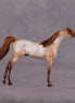 "Sandal" OOAK Arabian Chip by Ellen Robbins SHCF25OS