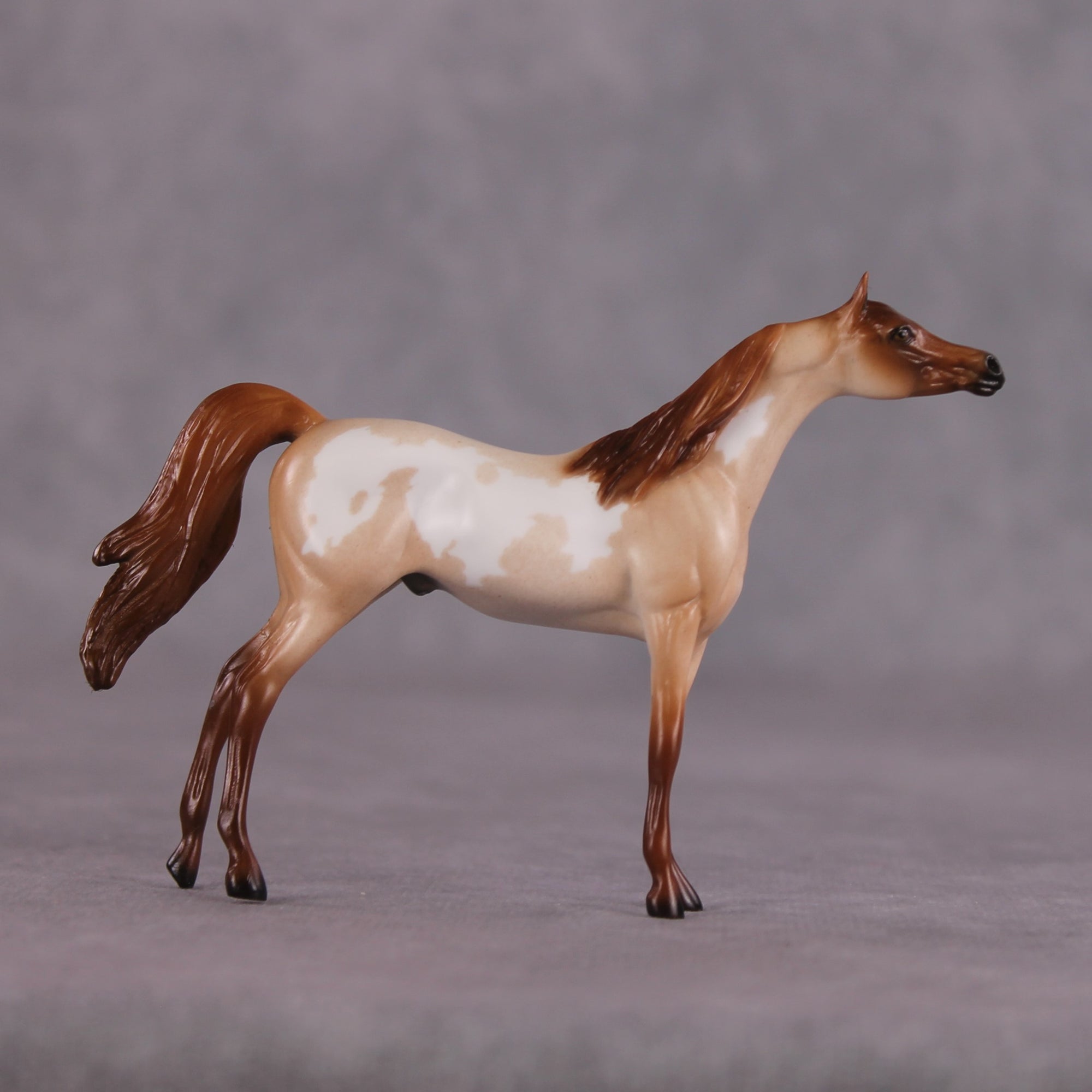 "Sandal" OOAK Arabian Chip by Ellen Robbins SHCF25OS