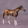 &quot;Akuna&quot; OOAK Thoroughbred Chip by Jess Hamill MS25