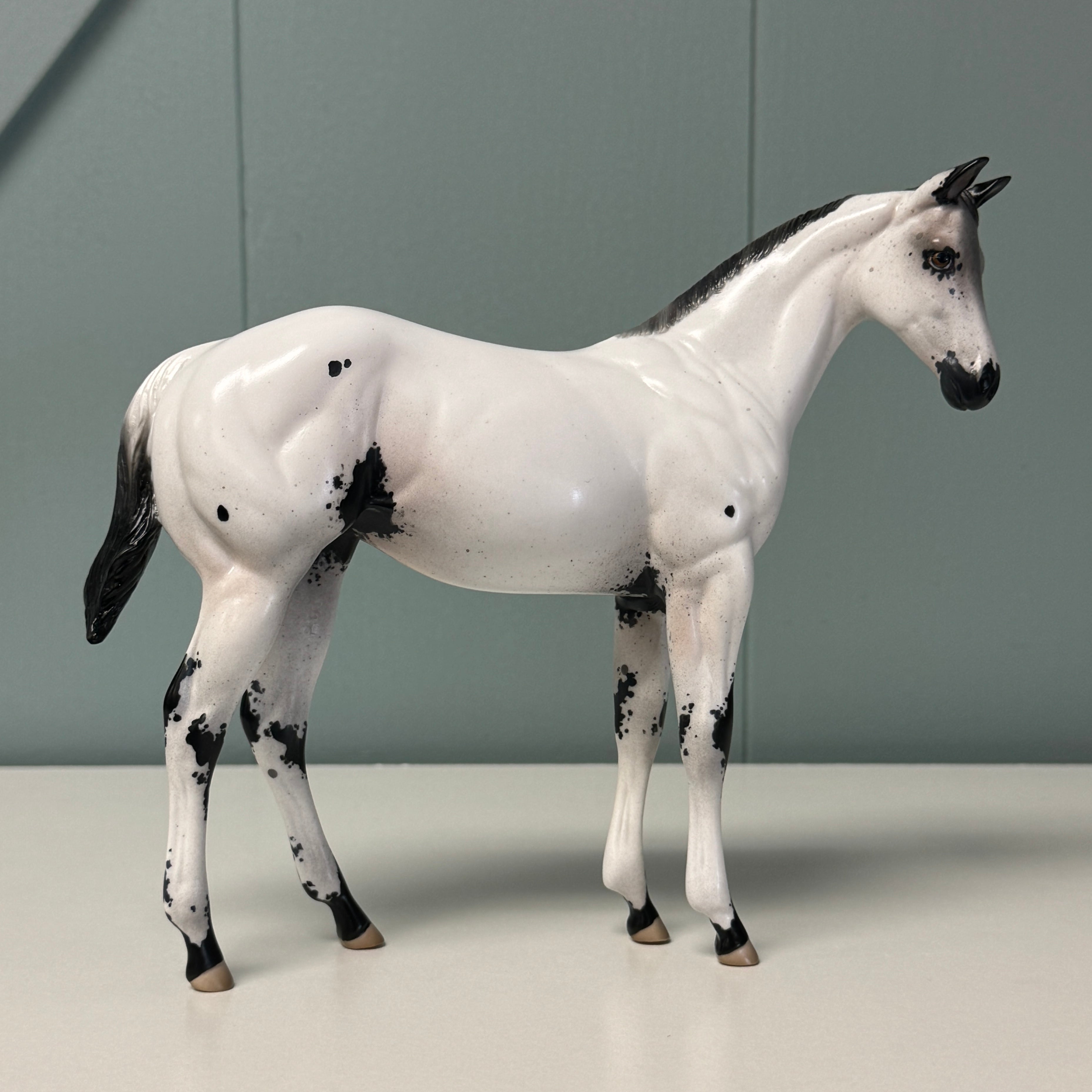HORSE UAMOU 馬ウアモウ Mokuba OOAK Few Spot Appaloosa Weanling By Jess Hamill EQ24