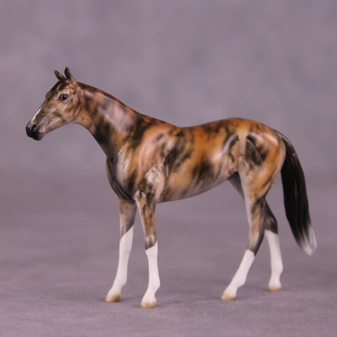 "Akuna" OOAK Thoroughbred Chip by Jess Hamill MS25