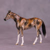&quot;Akuna&quot; OOAK Thoroughbred Chip by Jess Hamill MS25