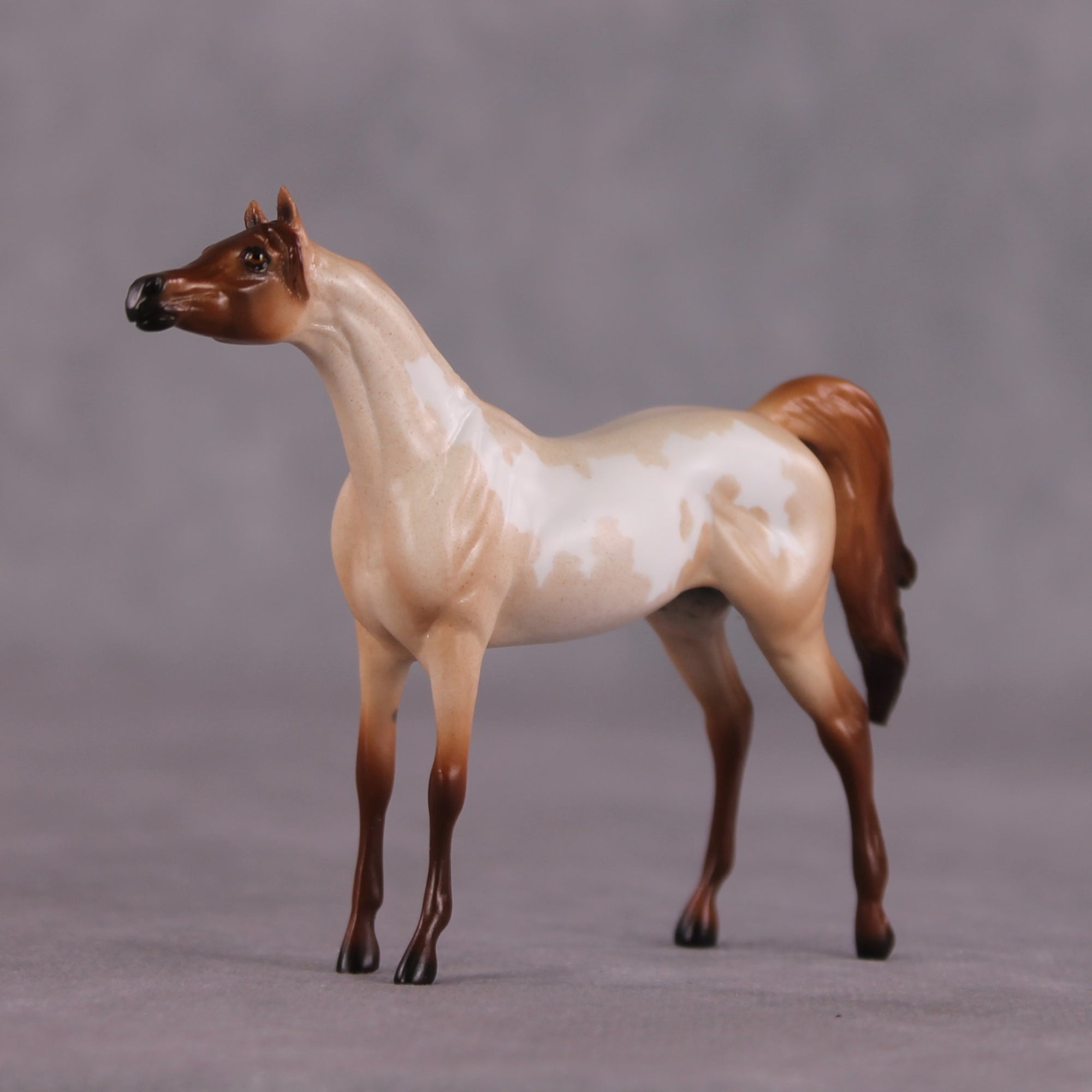 "Sandal" OOAK Arabian Chip by Ellen Robbins SHCF25OS