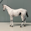 Mokuba OOAK Few Spot Appaloosa Weanling By Jess Hamill EQ24