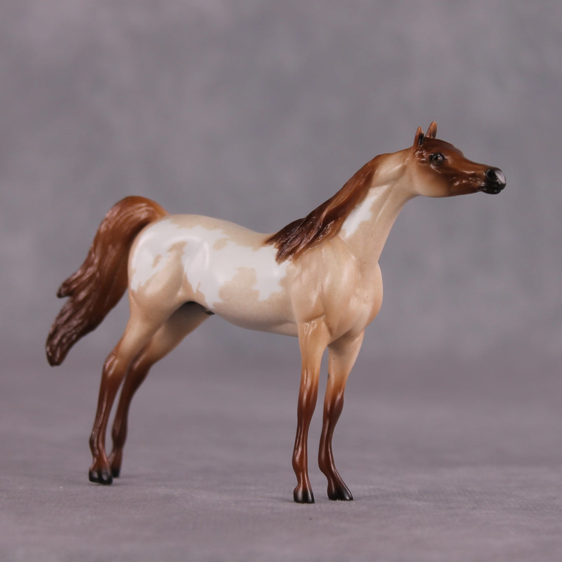 "Sandal" OOAK Arabian Chip by Ellen Robbins SHCF25OS