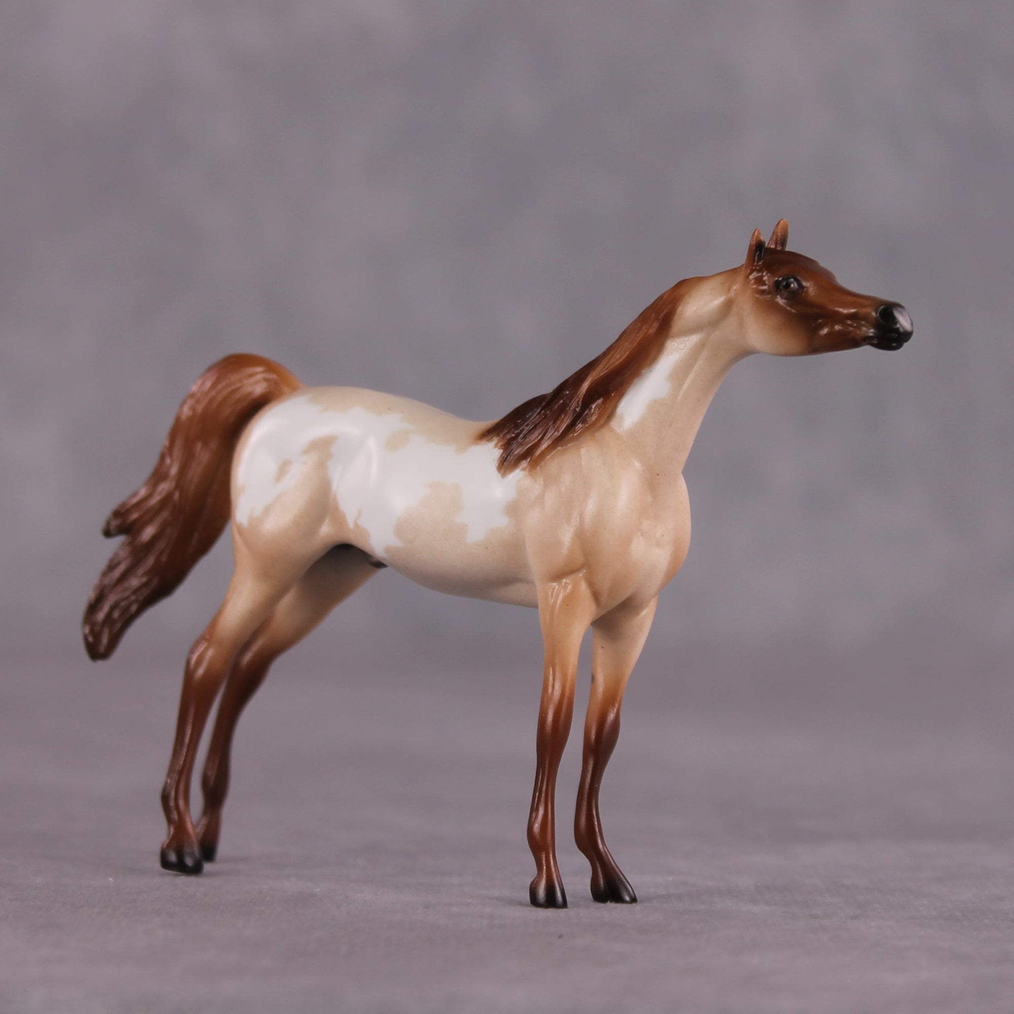 "Sandal" OOAK Arabian Chip by Ellen Robbins SHCF25OS