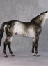 Winter Storm OOAK Dapple Rose Grey ISH By Ashley Palmer HS24