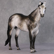 Winter Storm OOAK Dapple Rose Grey ISH By Ashley Palmer HS24