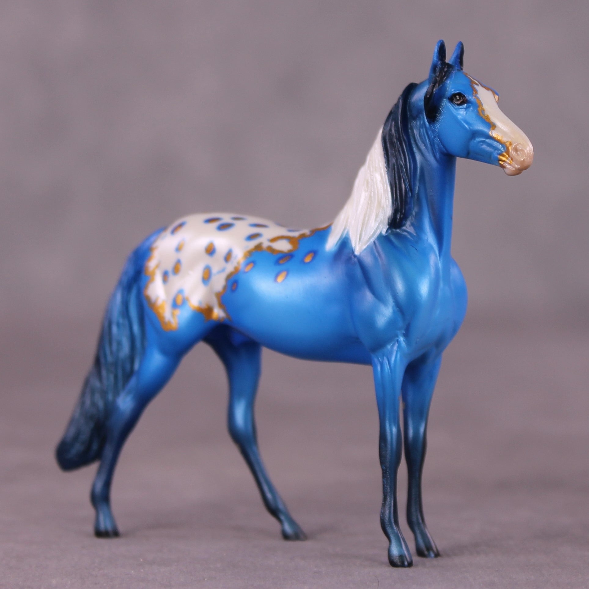 "Cerulean" OOAK Morgan Chip by Dawn Quick SHCF25OS