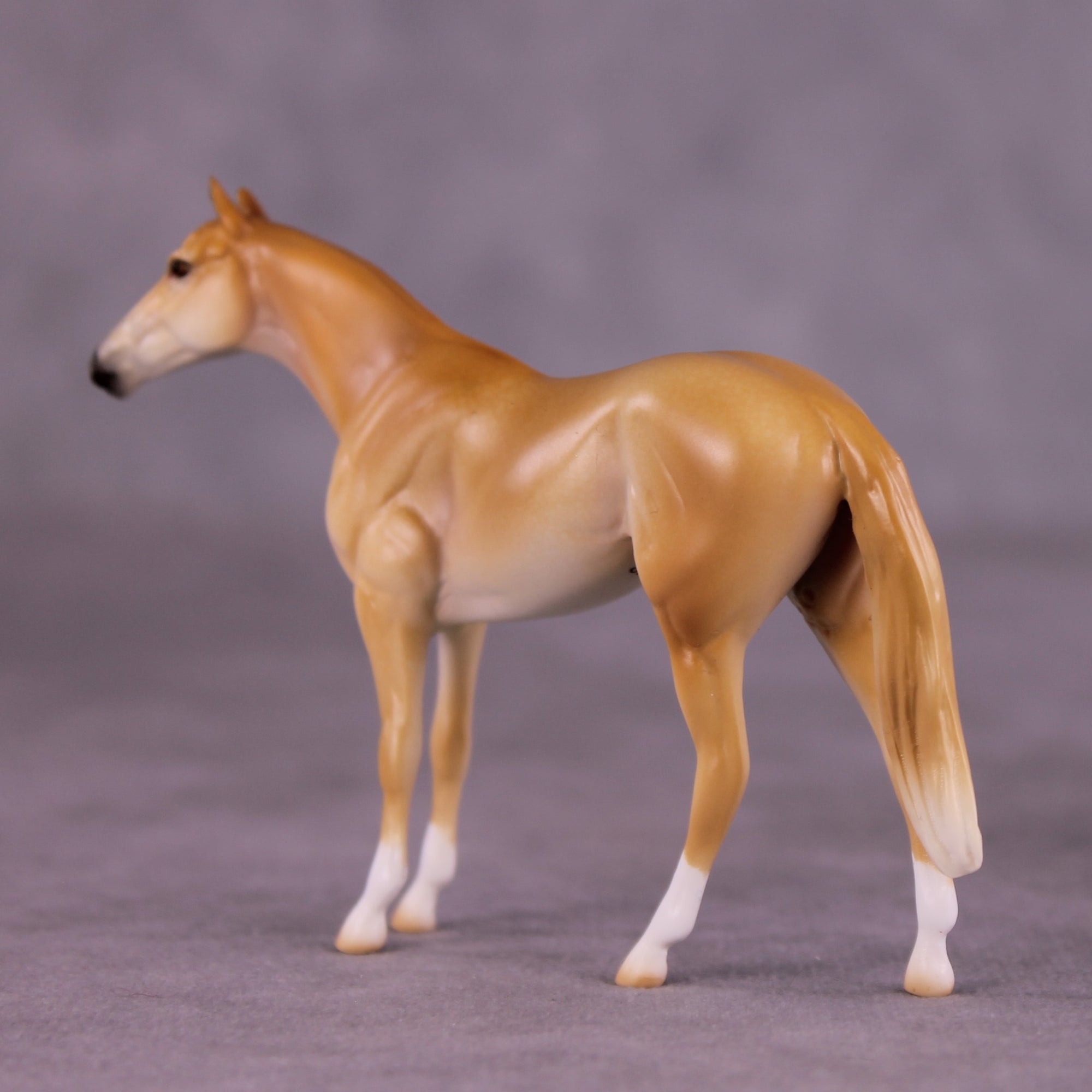 "Coodanup" OOAK Thoroughbred Chip by Jess Hamill MS25
