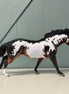 Action Line OOAK Bay Overo Remington By Dawn Quick EQ24