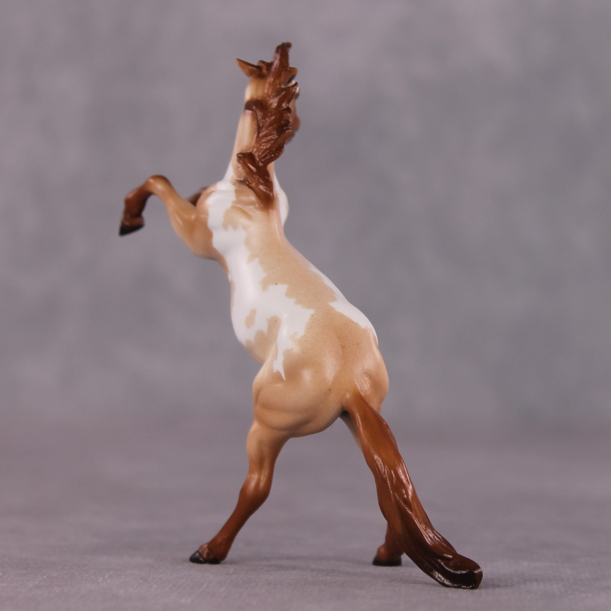 "Ocean of Fire" OOAK Rearing Chip by Ellen Robbins SHCF25