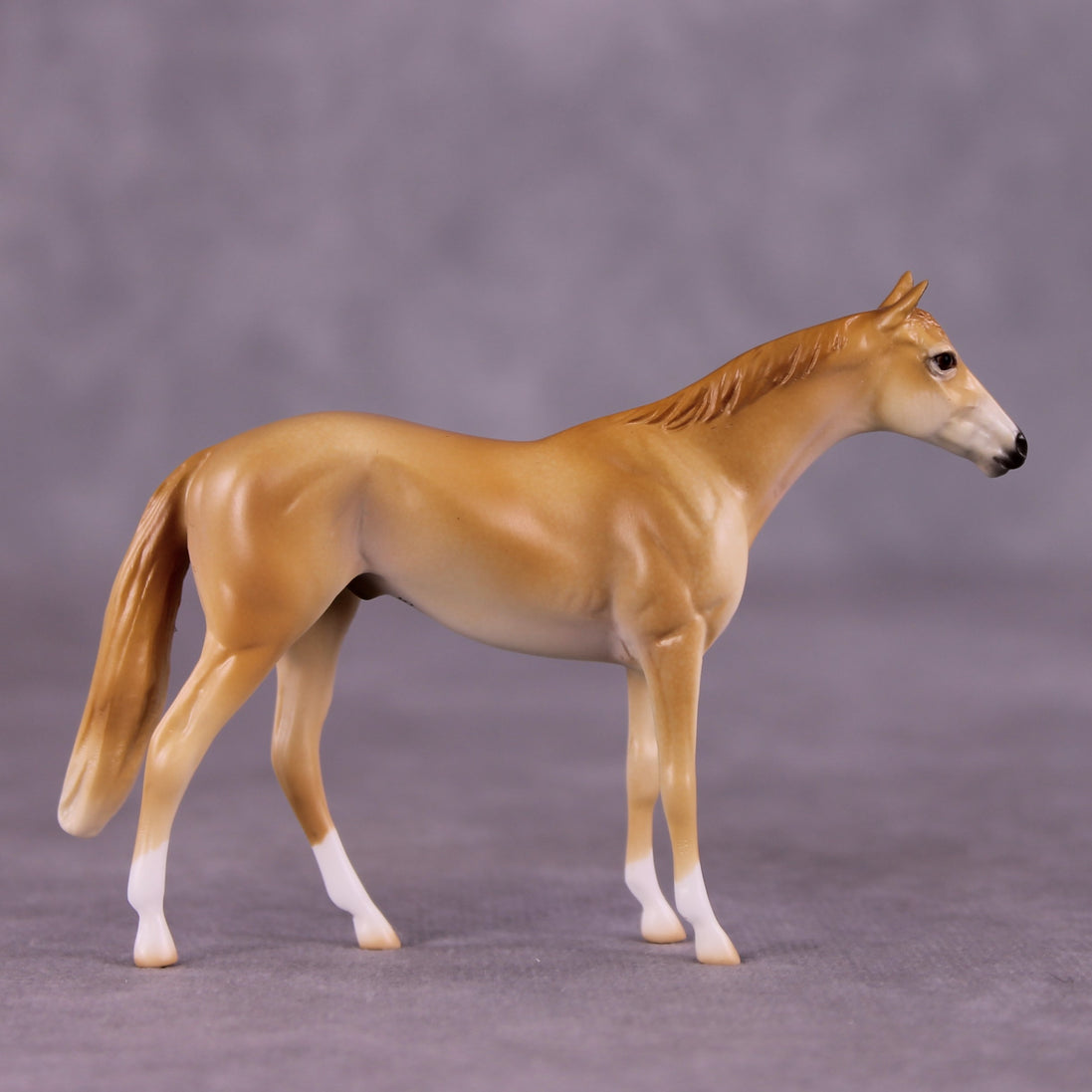 "Coodanup" OOAK Thoroughbred Chip by Jess Hamill MS25