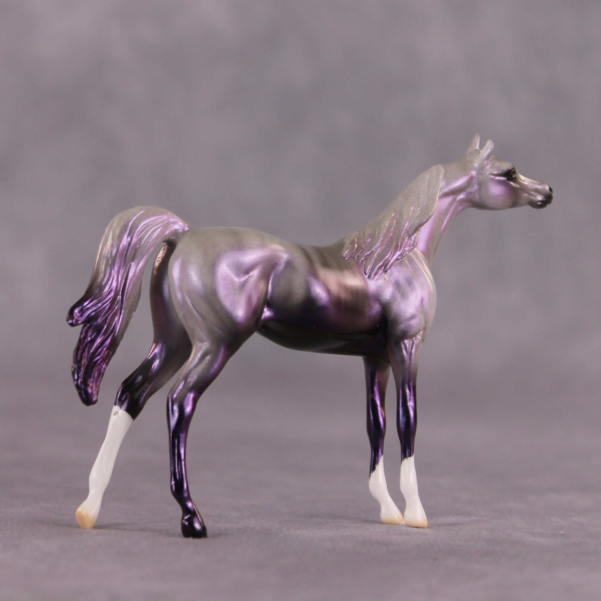 "Million" OOAK Arabian Chip By Ellen Robbins SHCF25