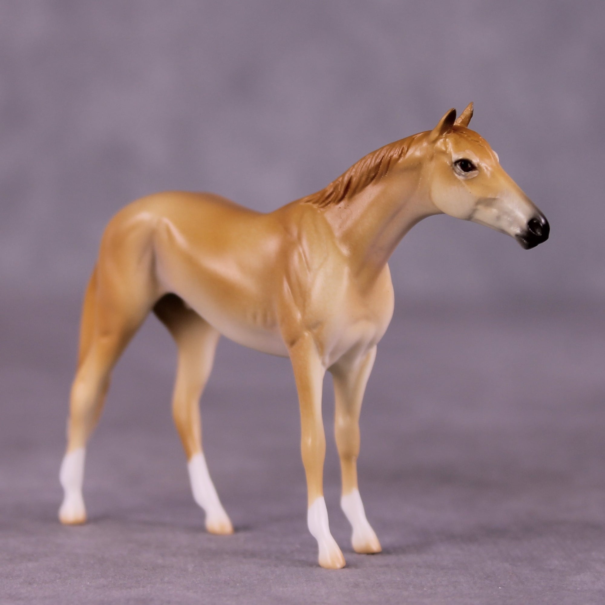 "Coodanup" OOAK Thoroughbred Chip by Jess Hamill MS25