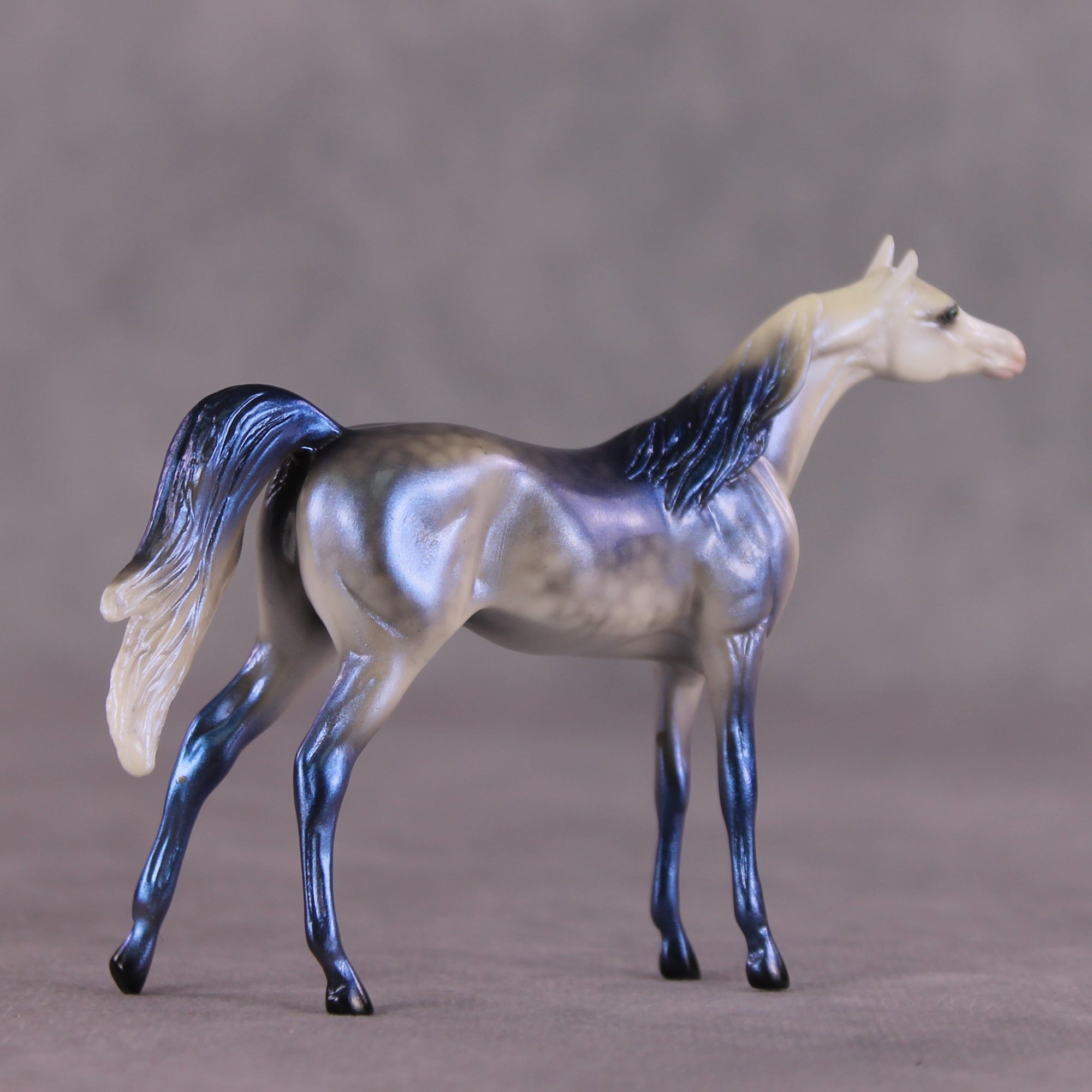 "Forecast" OOAK Arabian Chip by Ellen Robbins SHCF25