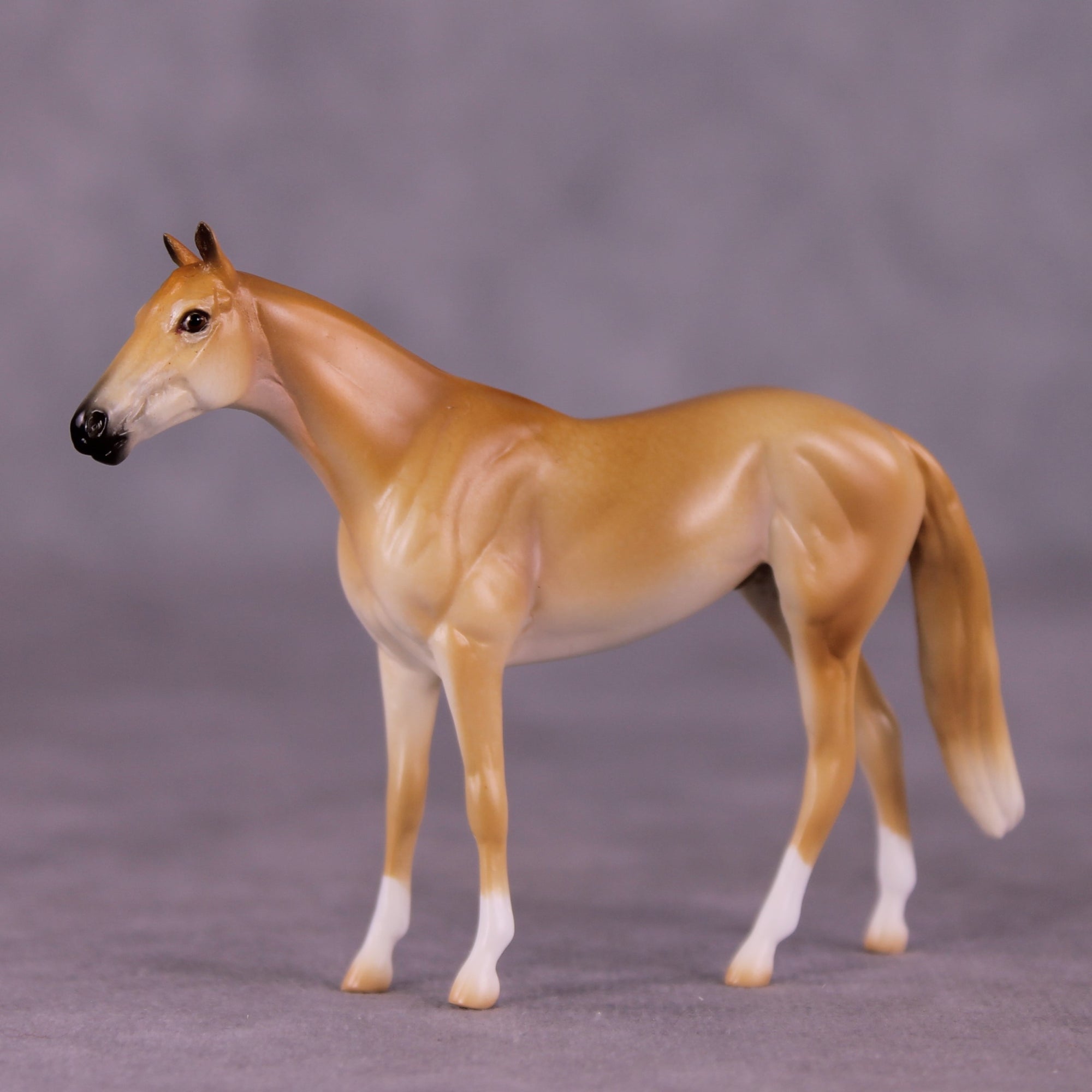 "Coodanup" OOAK Thoroughbred Chip by Jess Hamill MS25