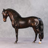 Jack OOAK Dark Bay Andalusian By Julie Keim HS24