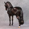 Jack OOAK Dark Bay Andalusian By Julie Keim HS24