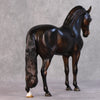 Jack OOAK Dark Bay Andalusian By Julie Keim HS24