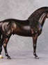 Jack OOAK Dark Bay Andalusian By Julie Keim HS24