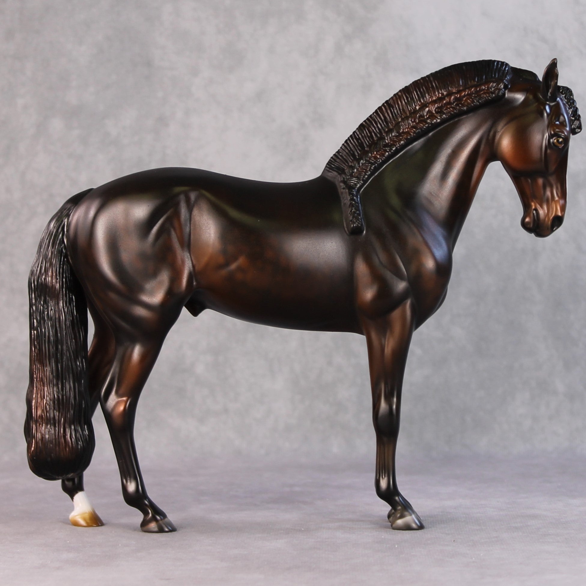 Jack OOAK Dark Bay Andalusian By Julie Keim HS24