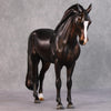 Jack OOAK Dark Bay Andalusian By Julie Keim HS24