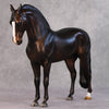 Jack OOAK Dark Bay Andalusian By Julie Keim HS24