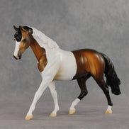 Well Dressed OOAK FCM Pony by Anna Rieck DDOOAKs26