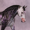 Momento Mori OOAK EFCM Irish Draught by Ashley Palmer MM25