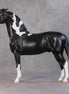 Amundsen OOAK Black Tobiano Custom Pinned Eared Morgan By Jess Hamill HS24