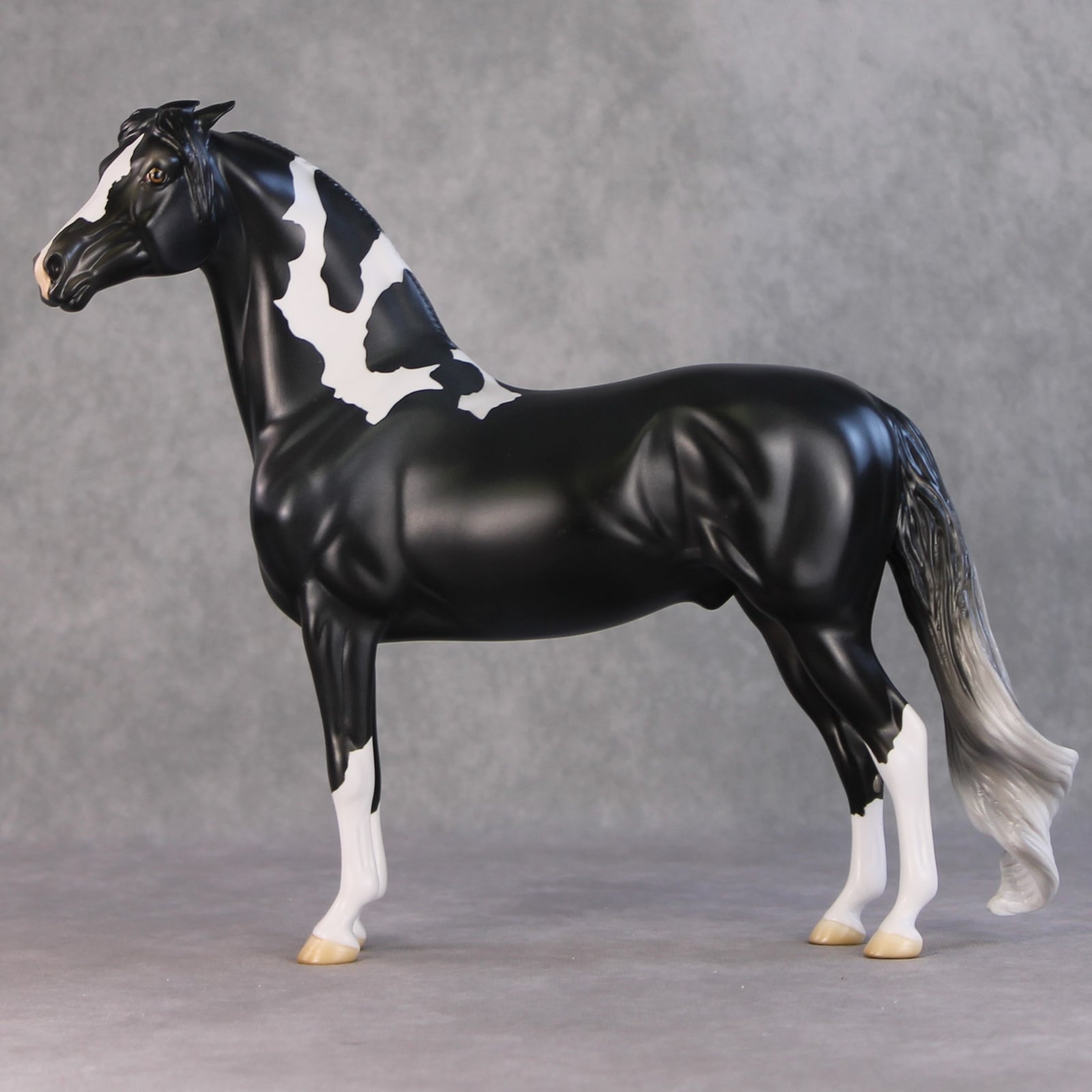 Amundsen OOAK Black Tobiano Custom Pinned Eared Morgan By Jess Hamill HS24
