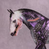 Momento Mori OOAK EFCM Irish Draught by Ashley Palmer MM25