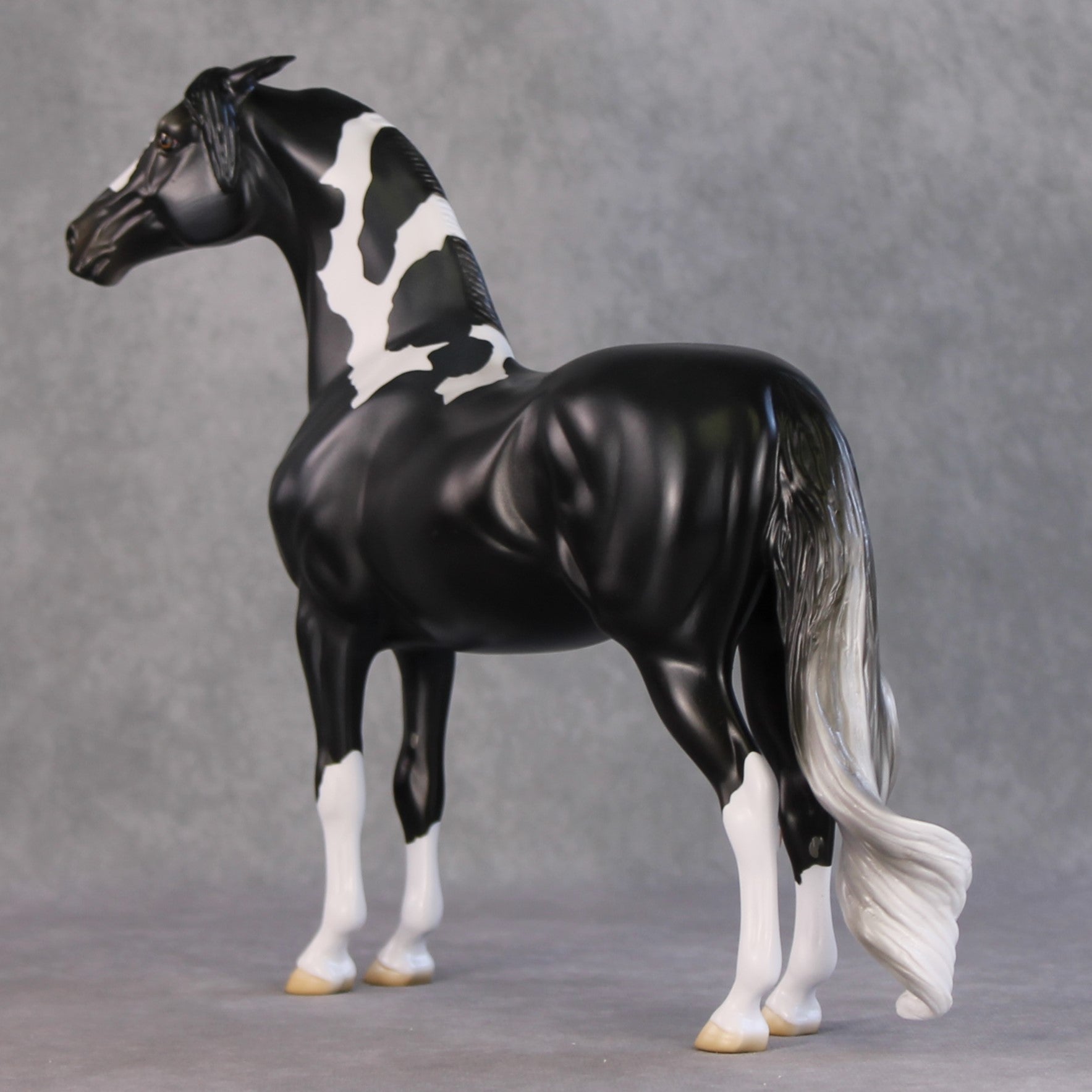 Amundsen OOAK Black Tobiano Custom Pinned Eared Morgan By Jess Hamill HS24