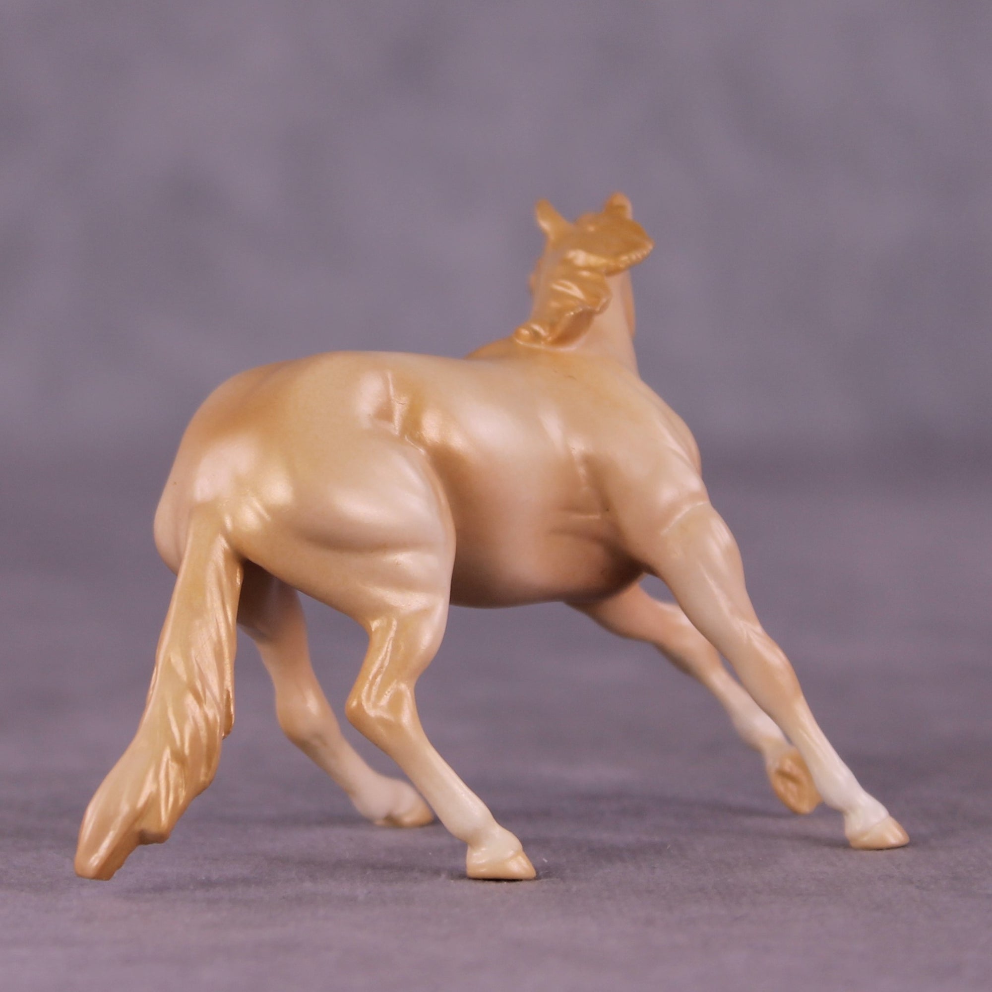 "Coolamon" OOAK Cutter Chip by Jess Hamill MS25