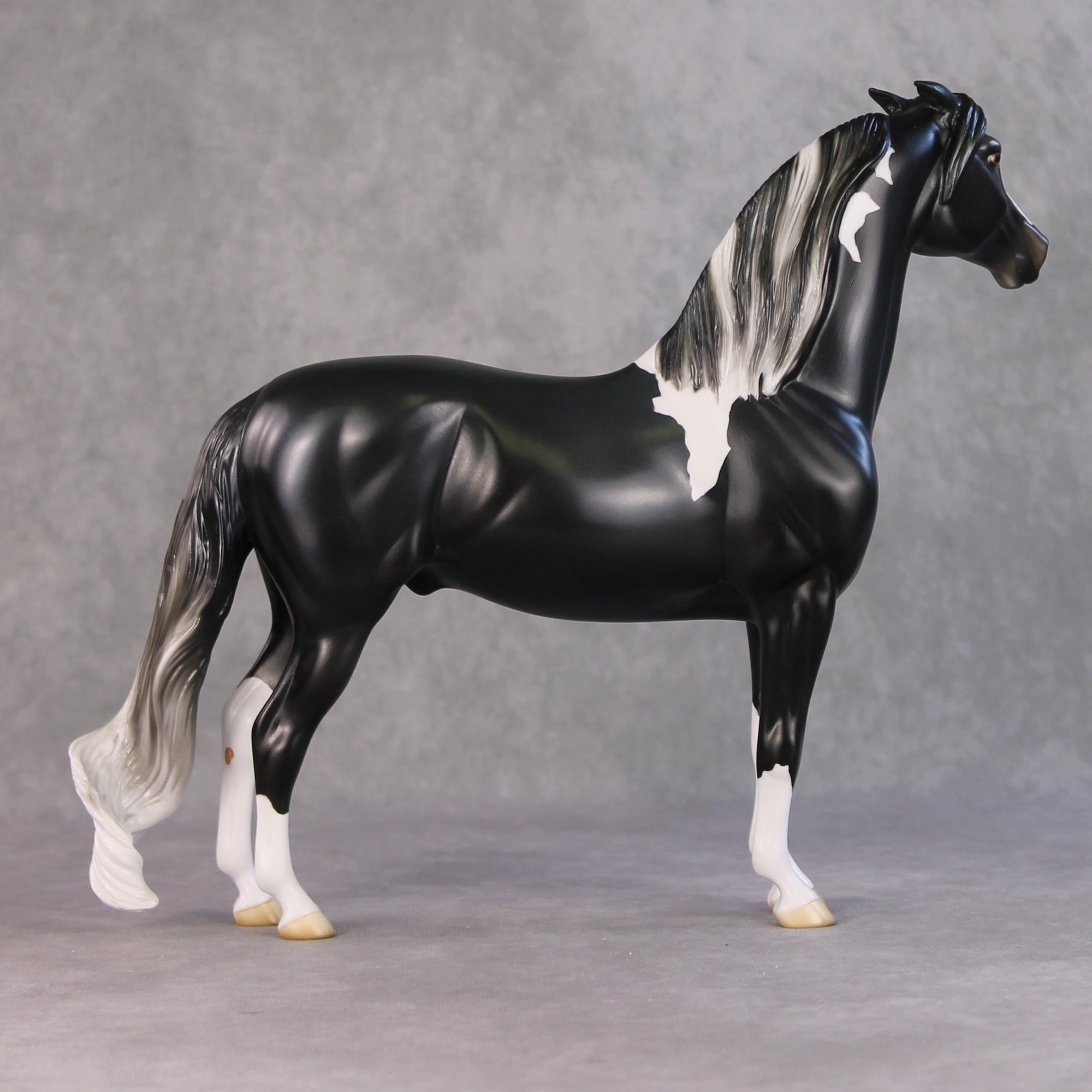 Amundsen OOAK Black Tobiano Custom Pinned Eared Morgan By Jess Hamill HS24