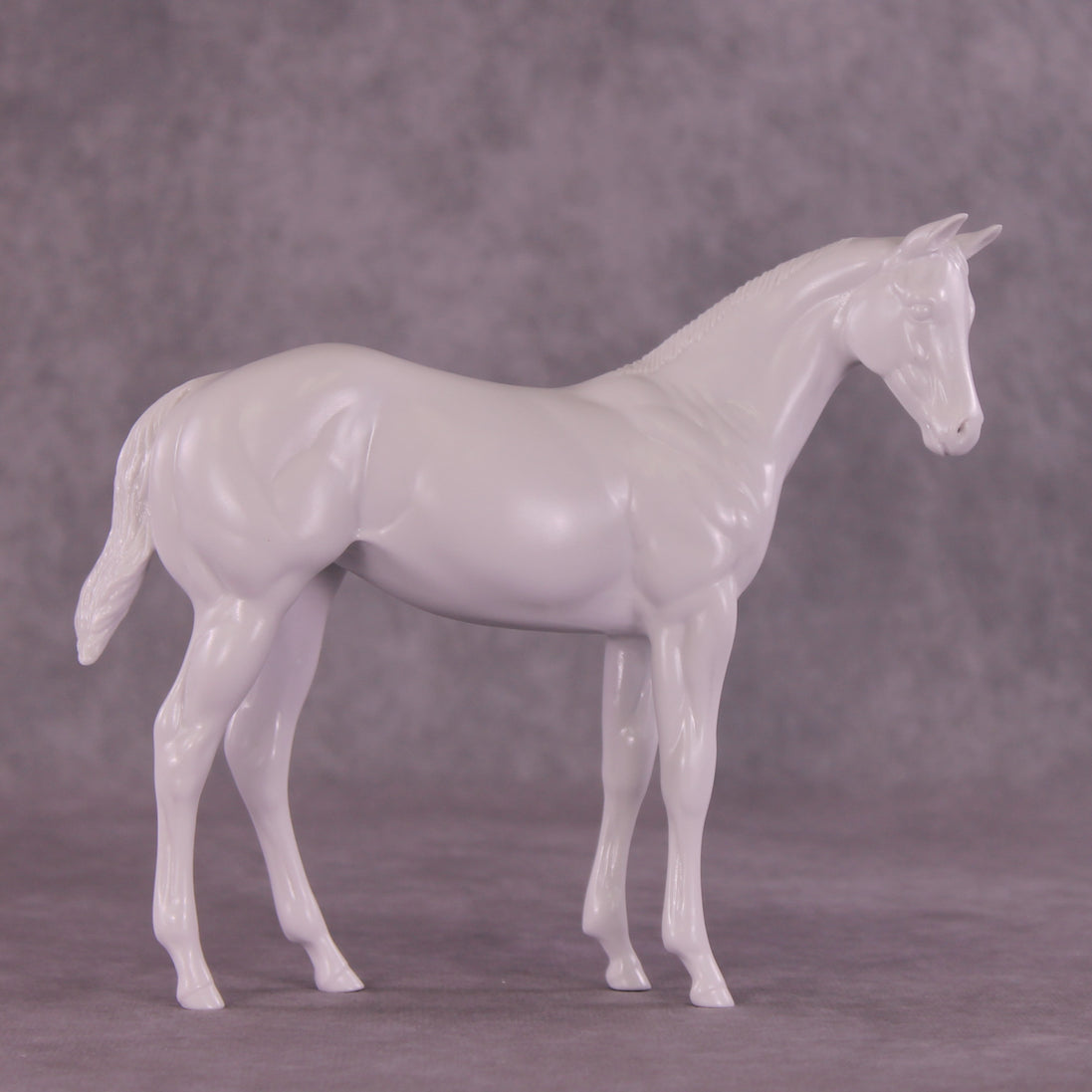 Design-A-Horse Stock Horse Weanling August Release DAH26 PM016