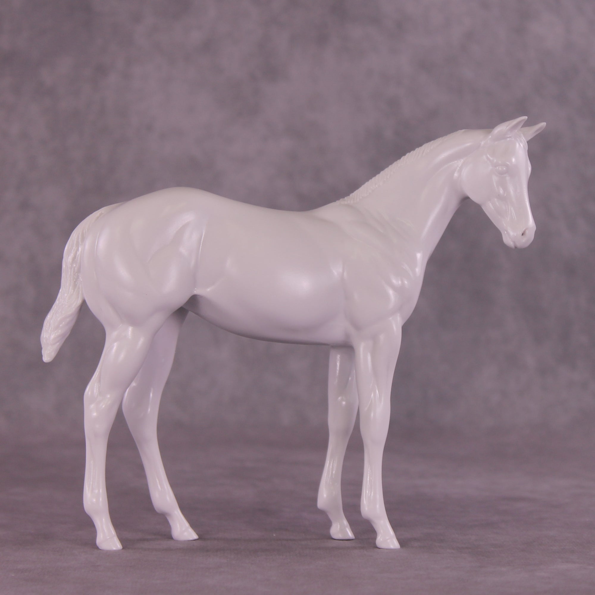 Design-A-Horse Stock Horse Weanling August Release DAH26 PM016